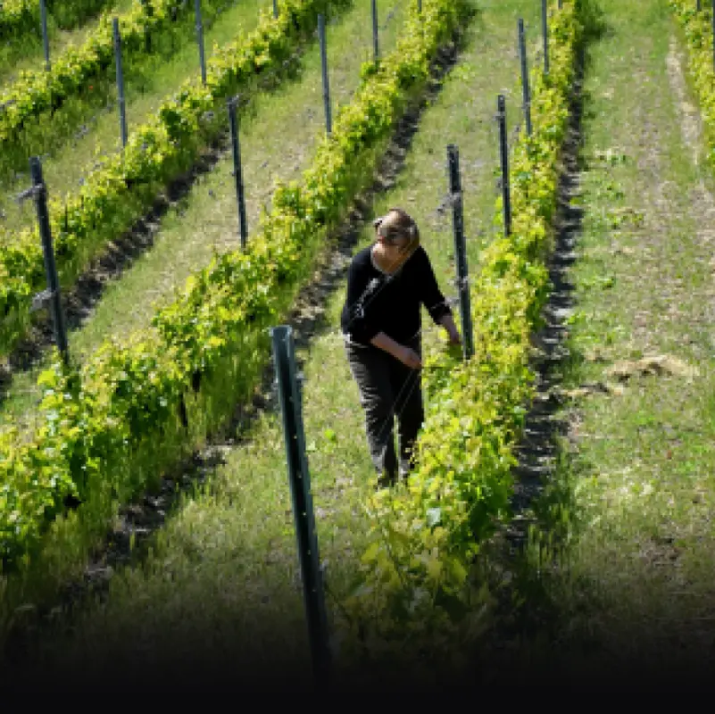 Cantina Di Barrò 10