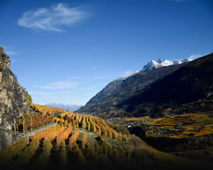 Cantina Di Barrò