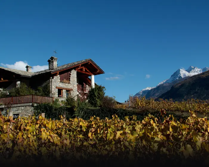 Cantina Di Barrò