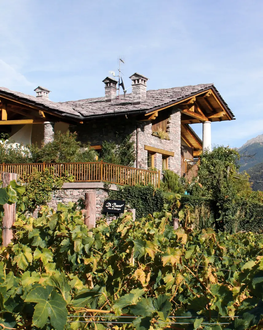 Cantine Di Barró