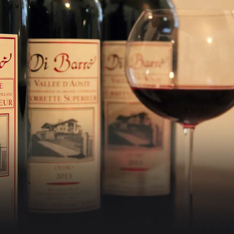 Torrette bottles and vineyards
