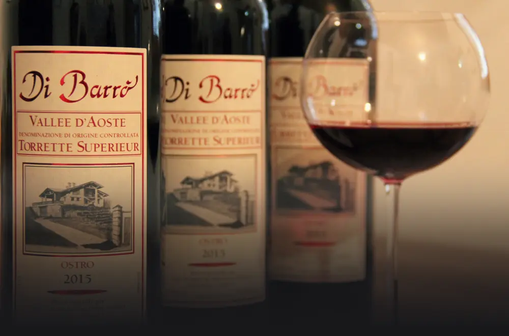 Torrette bottles and vineyards
